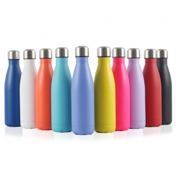 Stainless Steel Thermos Bottle 18 Oz.