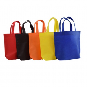 Non-woven Reusable Bag