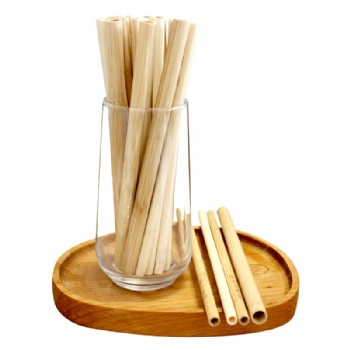 Reusable Bamboo Drinking Straw