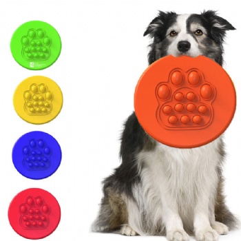 Flying Disc with Push Pop Bubble Sensory Toy